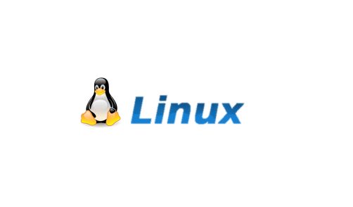 教你如何在Linux上实现文件系统的自动检查和修复
