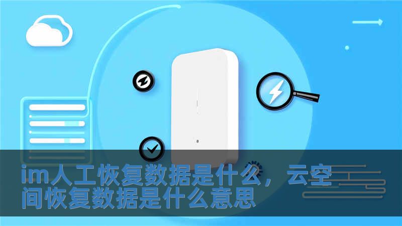 im人工恢复数据是什么，云空间恢复数据是什么意思