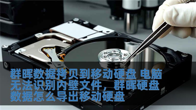 群晖数据拷贝到移动硬盘 电脑无法识别内壁文件，群晖硬盘数据怎么导出移动硬盘