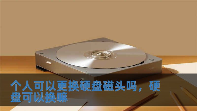 个人可以更换硬盘磁头吗，硬盘可以换嘛