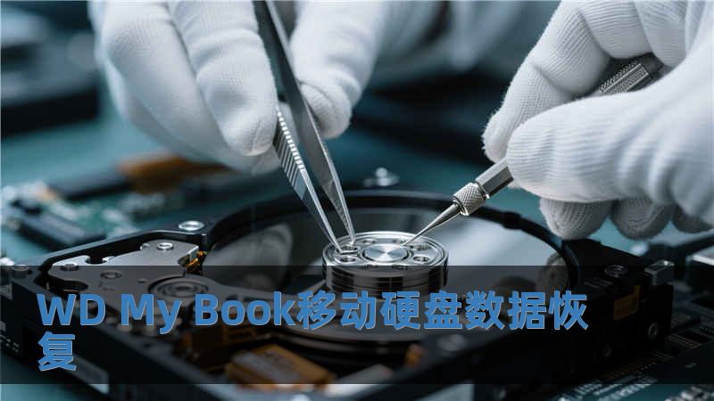 WD My Book移动硬盘数据恢复
