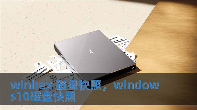 winhex 磁盘快照，windows10磁盘快照