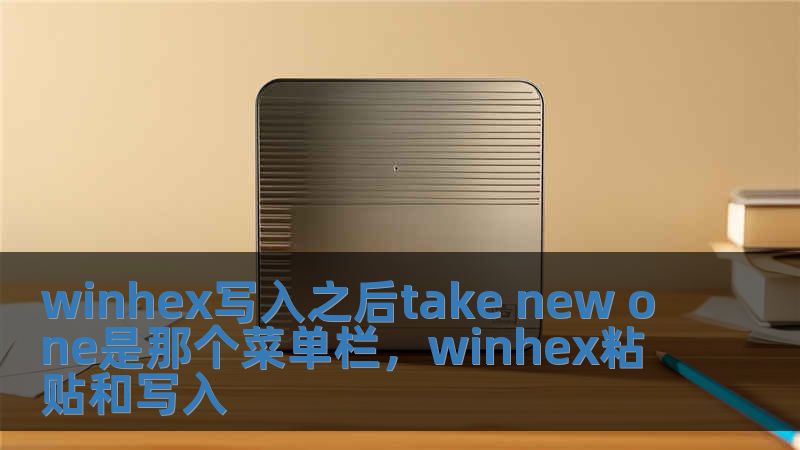 winhex写入之后take new one是那个菜单栏，winhex粘贴和写入