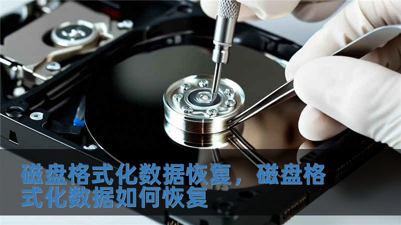 磁盘格式化数据恢复，磁盘格式化数据如何恢复