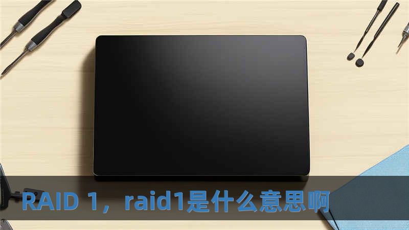 RAID 1，raid1是什么意思啊