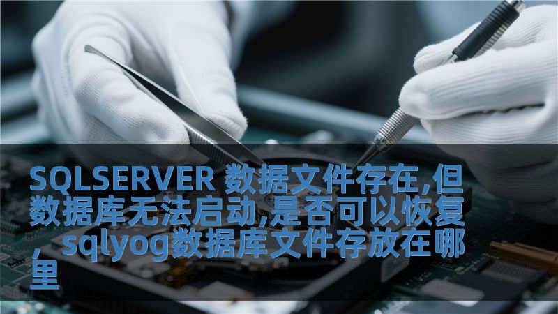 SQLSERVER 数据文件存在,但数据库无法启动,是否可以恢复，sqlyog数据库文件存放在哪里