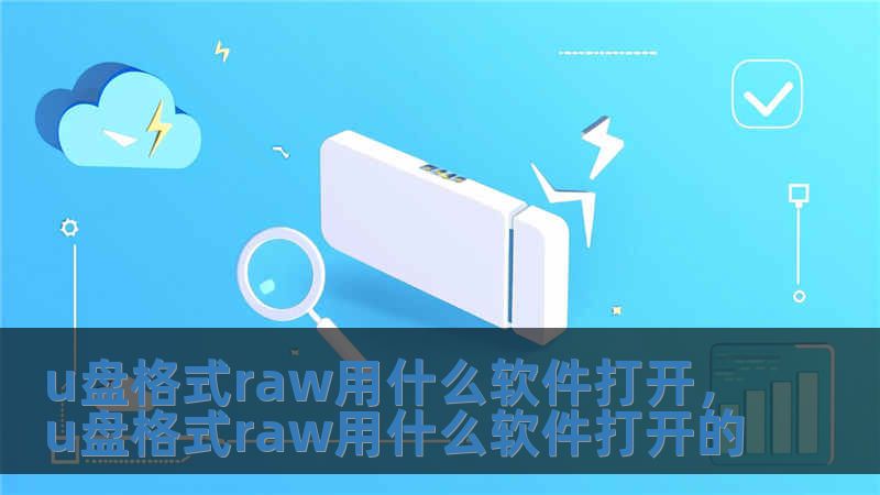 u盘格式raw用什么软件打开，u盘格式raw用什么软件打开的