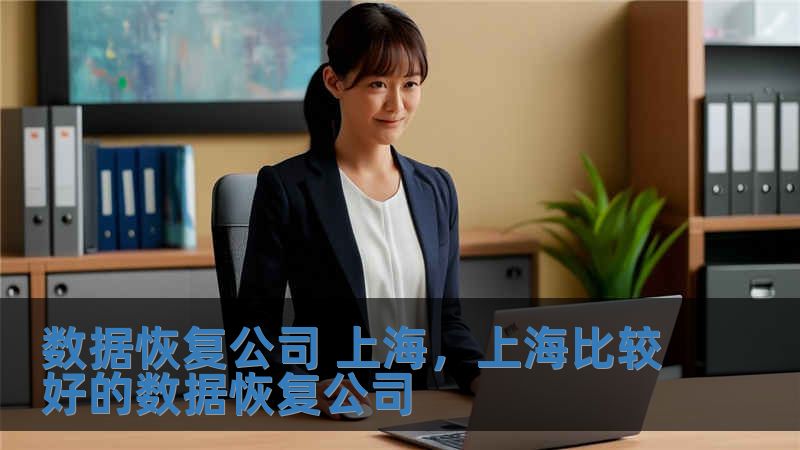 数据恢复公司 上海，上海比较好的数据恢复公司