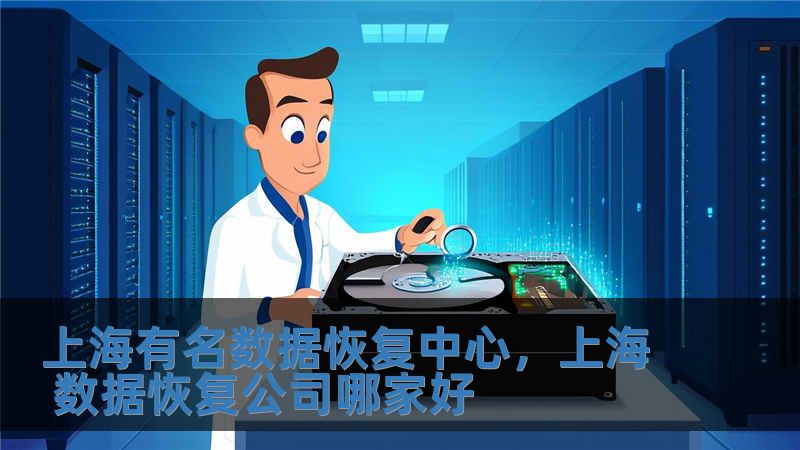 上海有名数据恢复中心，上海 数据恢复公司哪家好
