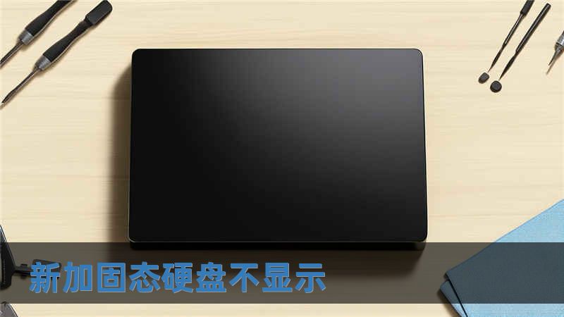 新加固态硬盘不显示