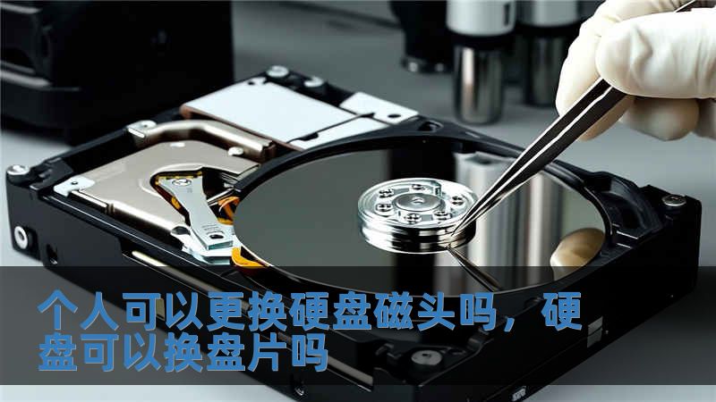 个人可以更换硬盘磁头吗，硬盘可以换盘片吗