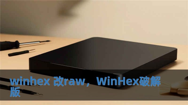 winhex 改raw，WinHex破解版