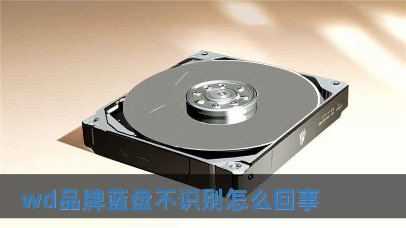 wd品牌蓝盘不识别怎么回事