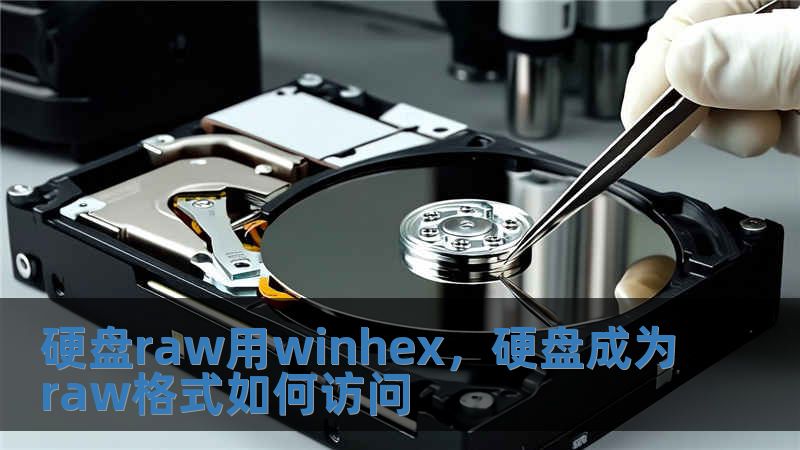 硬盘raw用winhex，硬盘成为raw格式如何访问