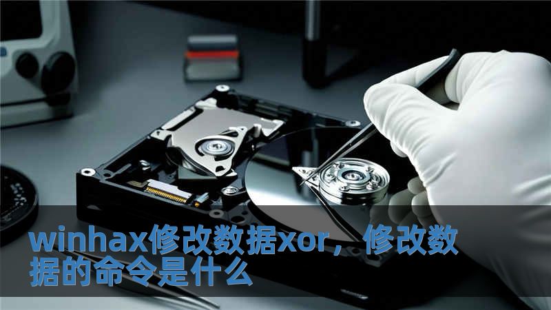winhax修改数据xor，修改数据的命令是什么
