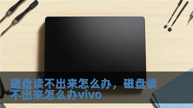 磁盘读不出来怎么办，磁盘读不出来怎么办vivo