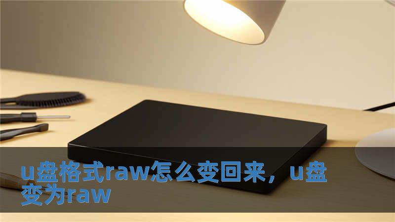 u盘格式raw怎么变回来，u盘变为raw