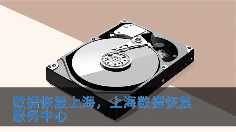 数据恢复上海，上海数据恢复服务中心