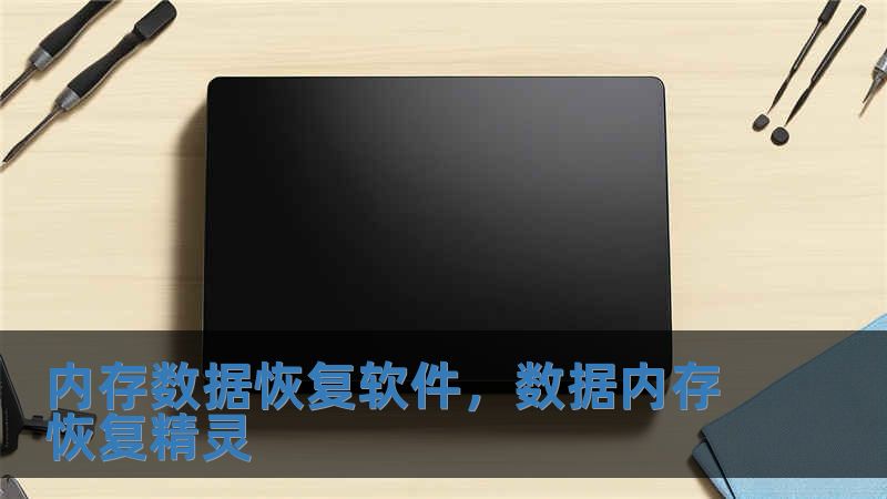 内存数据恢复软件，数据内存恢复精灵