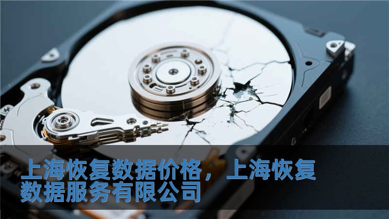 上海恢复数据价格，上海恢复数据服务有限公司