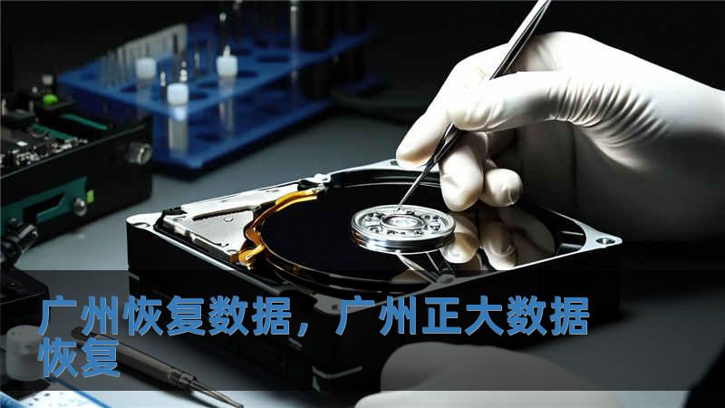 广州恢复数据，广州正大数据恢复