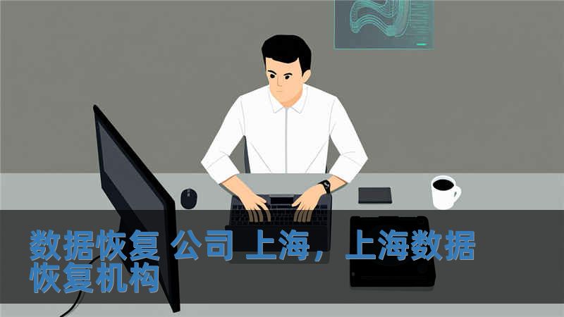 数据恢复 公司 上海，上海数据恢复机构