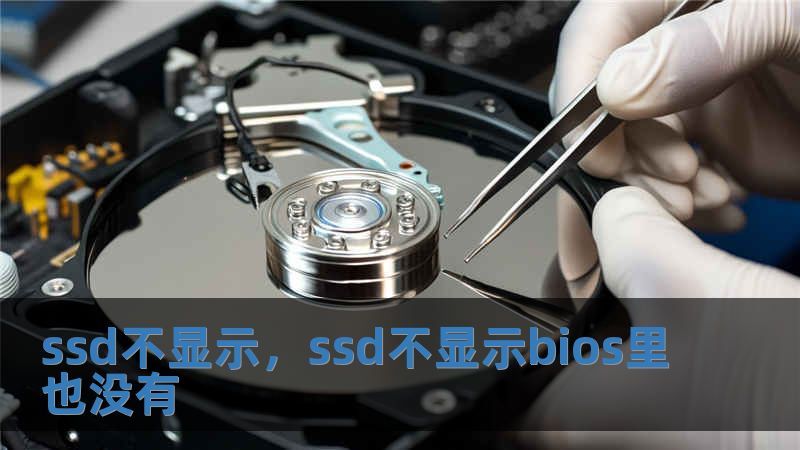 ssd不显示，ssd不显示bios里也没有
