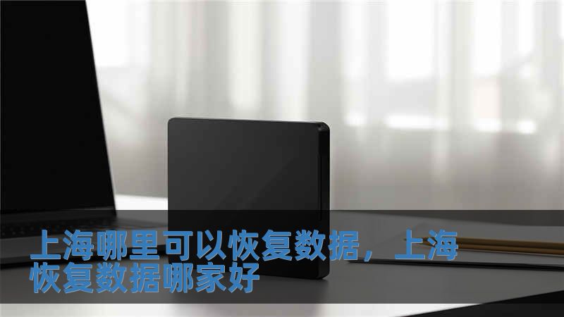 上海哪里可以恢复数据，上海恢复数据哪家好