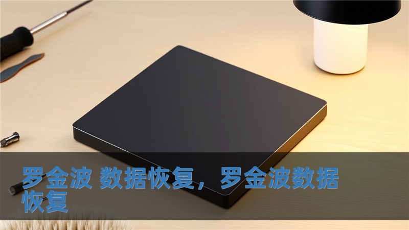 罗金波 数据恢复，罗金波数据恢复
