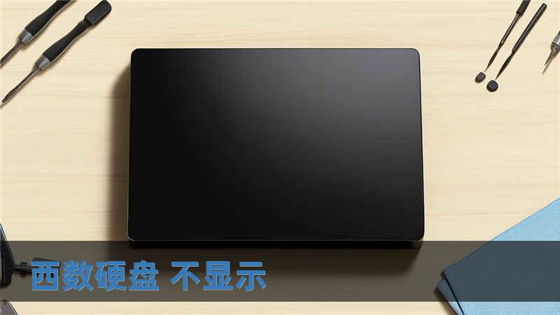 西数硬盘 不显示