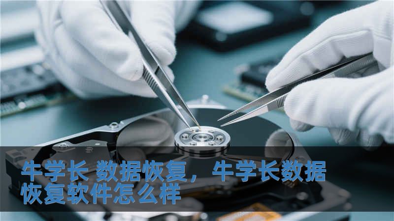 牛学长 数据恢复，牛学长数据恢复软件怎么样