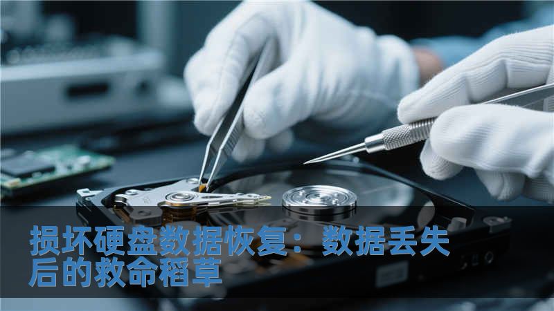 损坏硬盘数据恢复：数据丢失后的救命稻草