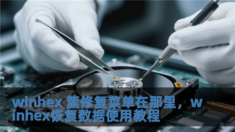 winhex 簇修复菜单在那里，winhex恢复数据使用教程
