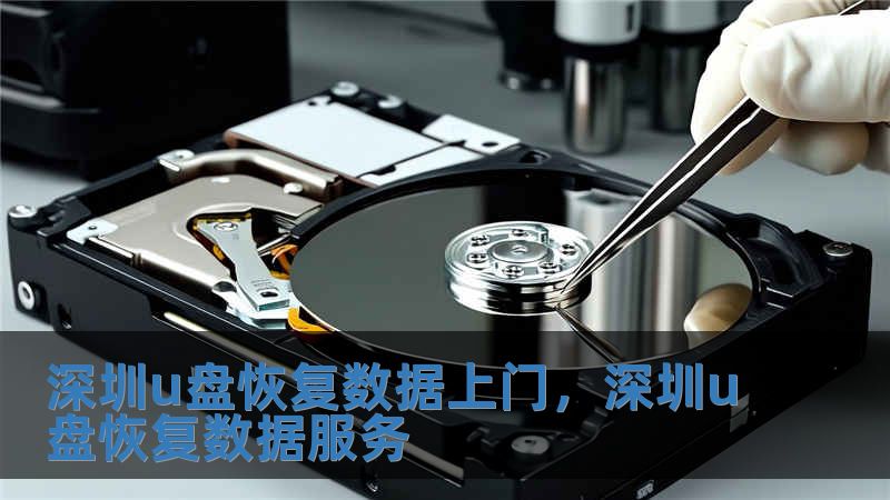 深圳u盘恢复数据上门，深圳u盘恢复数据服务