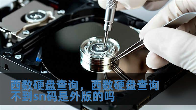 西数硬盘查询，西数硬盘查询不到sn码是外版的吗