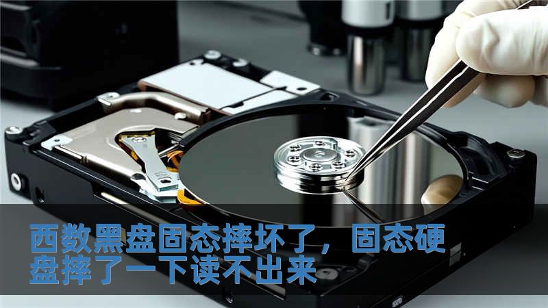 西数黑盘固态摔坏了，固态硬盘摔了一下读不出来
