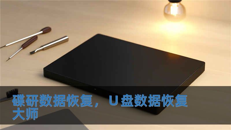 碟研数据恢复，∪盘数据恢复大师