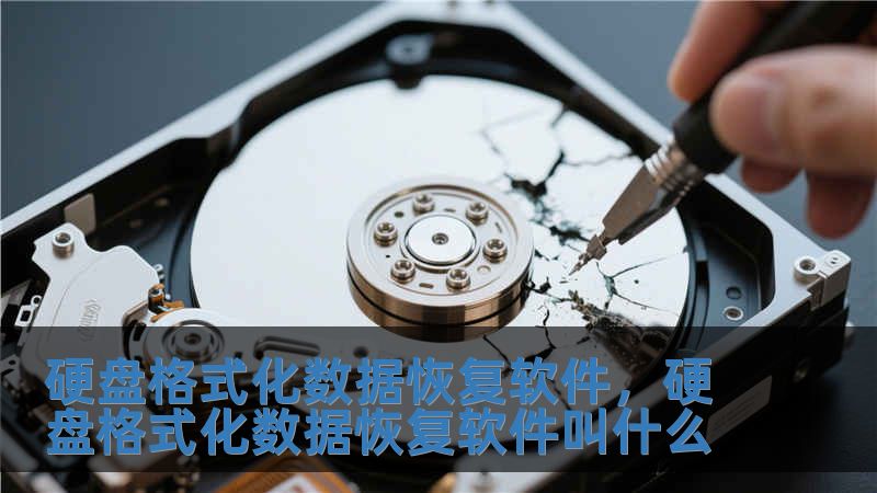 硬盘格式化数据恢复软件，硬盘格式化数据恢复软件叫什么