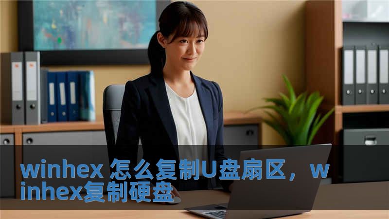 winhex 怎么复制U盘扇区，winhex复制硬盘
