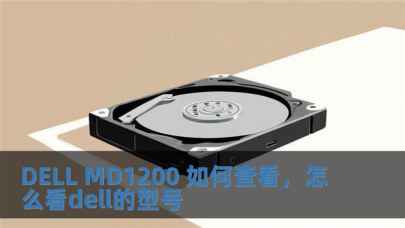 DELL MD1200 如何查看，怎么看dell的型号