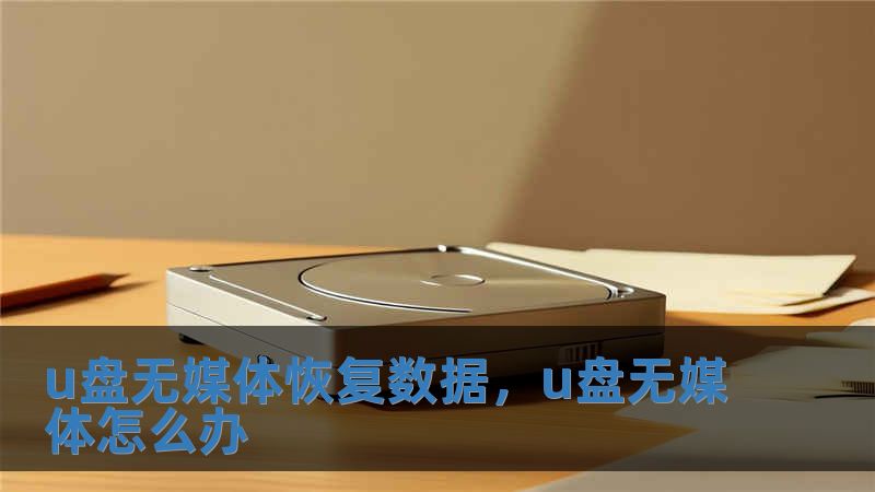 u盘无媒体恢复数据，u盘无媒体怎么办