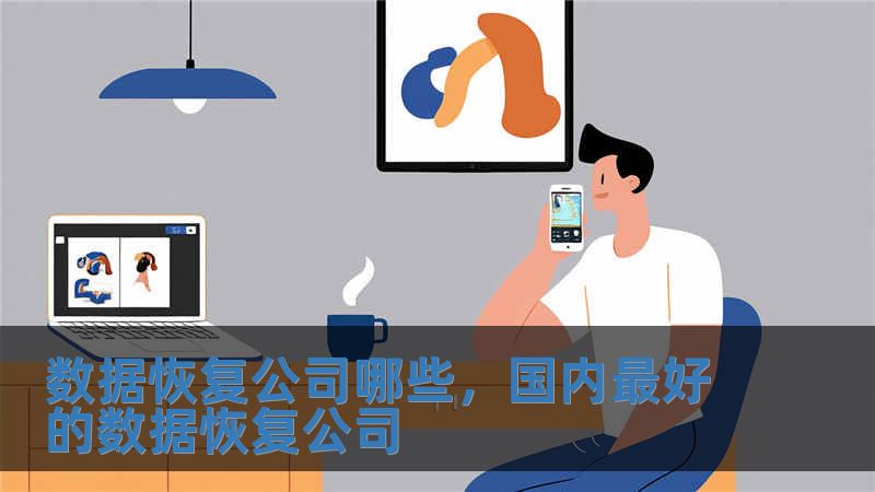 数据恢复公司哪些，国内最好的数据恢复公司