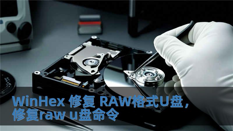 WinHex 修复 RAW格式U盘，修复raw u盘命令