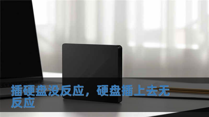 插硬盘没反应，硬盘插上去无反应