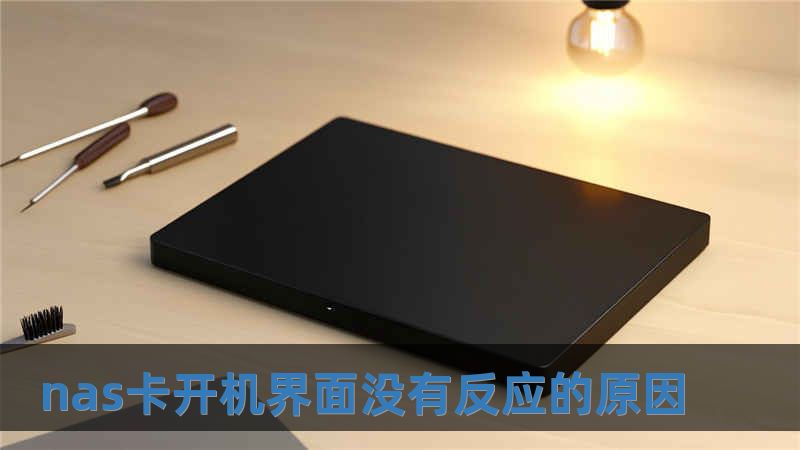 nas卡开机界面没有反应的原因