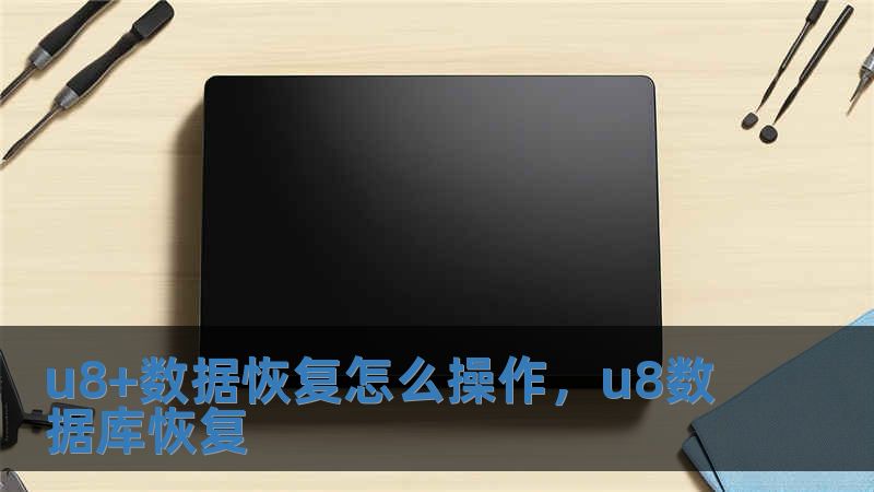 u8+数据恢复怎么操作，u8数据库恢复