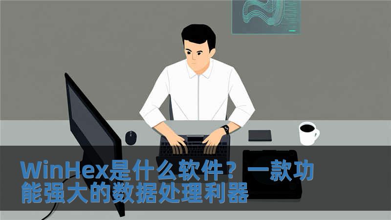 WinHex是什么软件？一款功能强大的数据处理利器