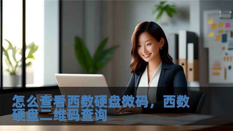怎么查看西数硬盘微码，西数硬盘二维码查询