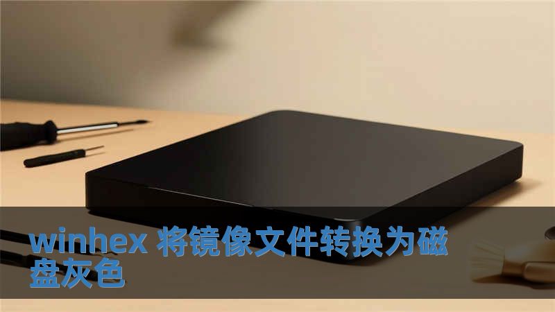 winhex 将镜像文件转换为磁盘灰色