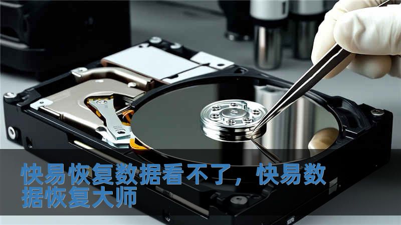 快易恢复数据看不了，快易数据恢复大师